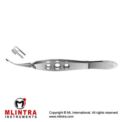 Dodick Nucleas Cracker Cross Action - Longitudinally Serrated Paddle Shaped Jaws Stainless Steel, 11 cm - 4 1/4"
